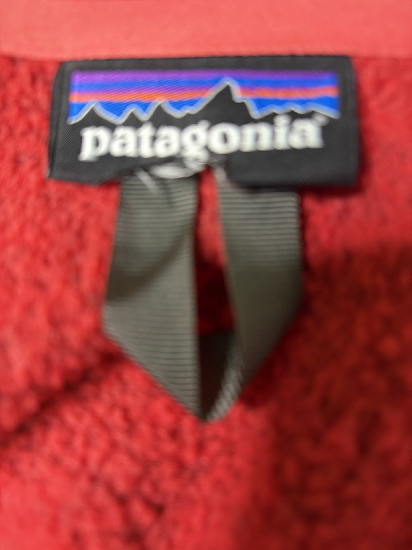 Patagonia レッドフリース