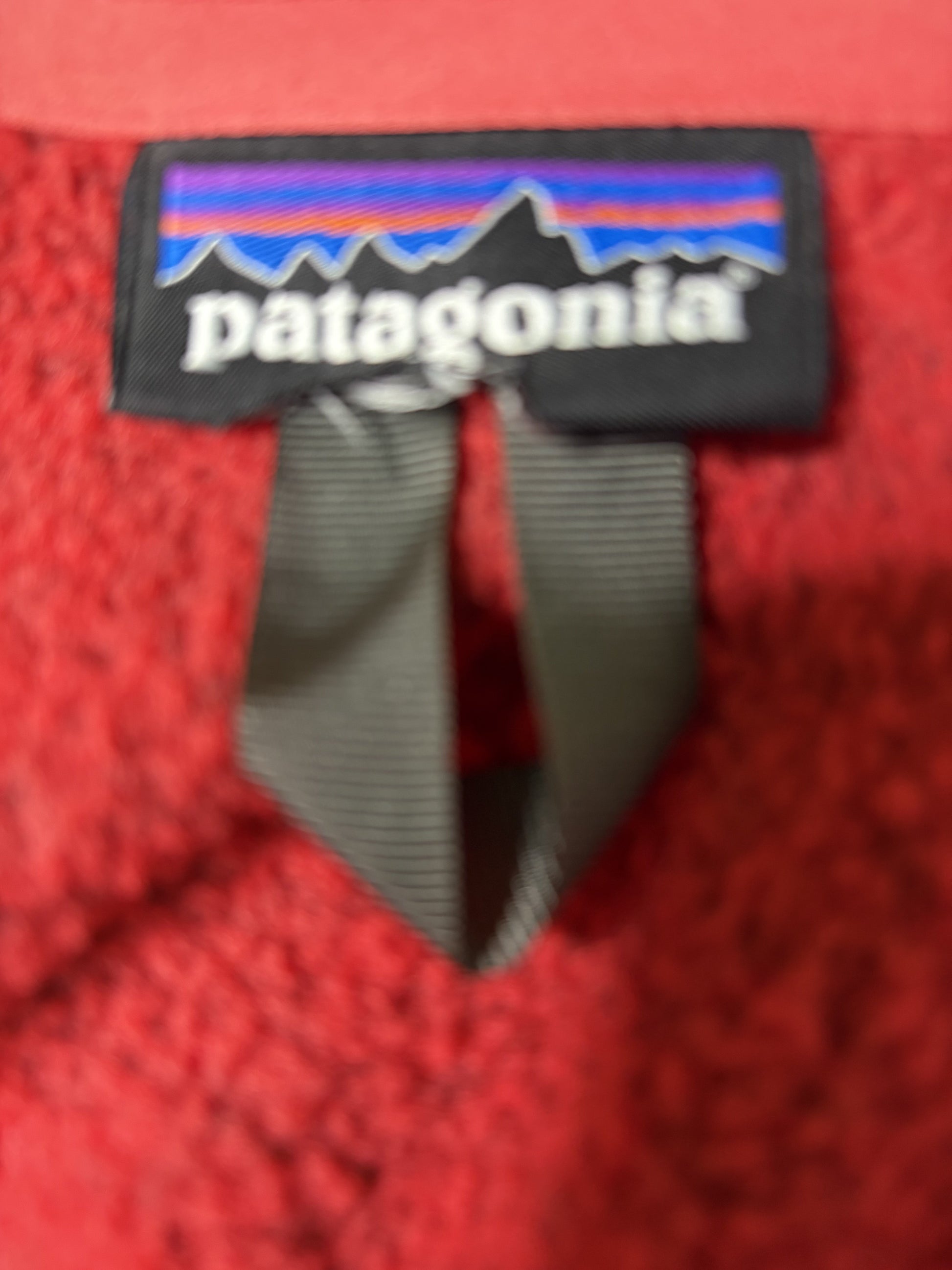 Patagonia レッドフリース